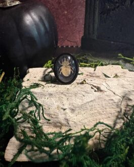 Goth Rings | Witchy Jewelry | Scarab Beetle  Ring | Creepy Jewelry