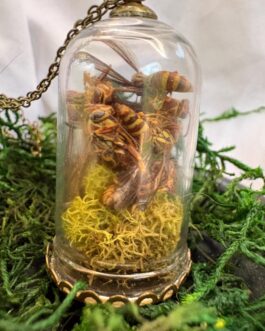 Insect Taxidermy | Real Wasp Pendant Necklace or Witchy Home Decor | Insect Art