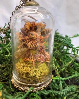 Insect Taxidermy | Real Wasp Pendant Necklace or Witchy Home Decor | Insect Art